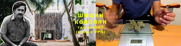 скорость Алзамай