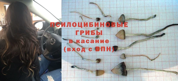 таблы Алексеевка