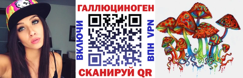 где можно купить наркотик  Безенчук  Псилоцибиновые грибы Cubensis 